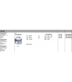 Поршень DEUTZ 2012 101mm -...